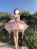 Vintage Ball Gown Pink Tulle 22th Birthday Dress Mini Lolita Dress Short Lolita Outfits HZ1121